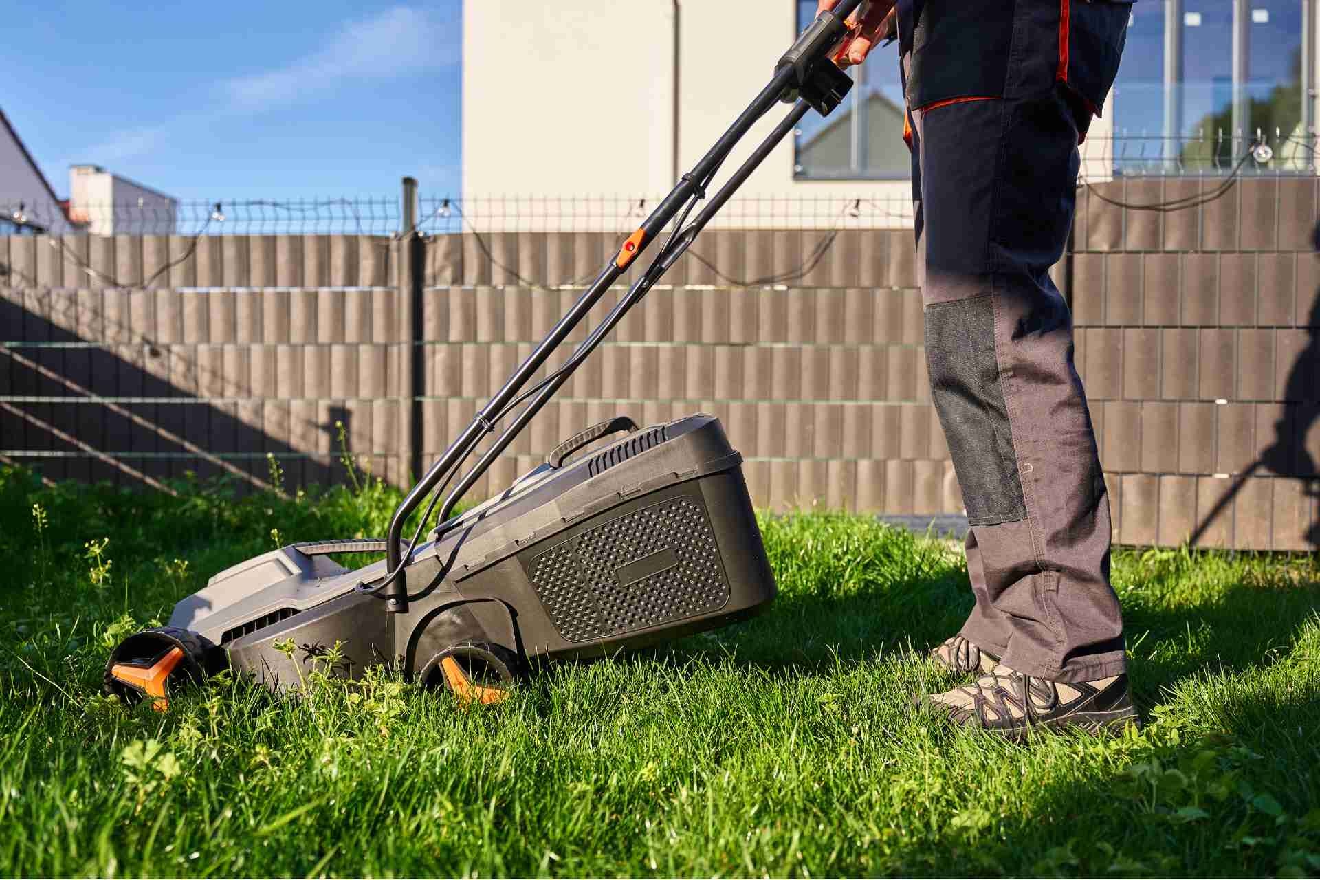 How to Build a Lawn Care Schedule Using Organic Methods