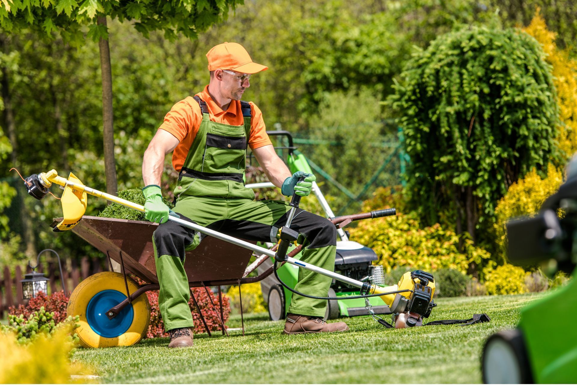 How to Protect Your North Texas Landscape From Fall Pests
