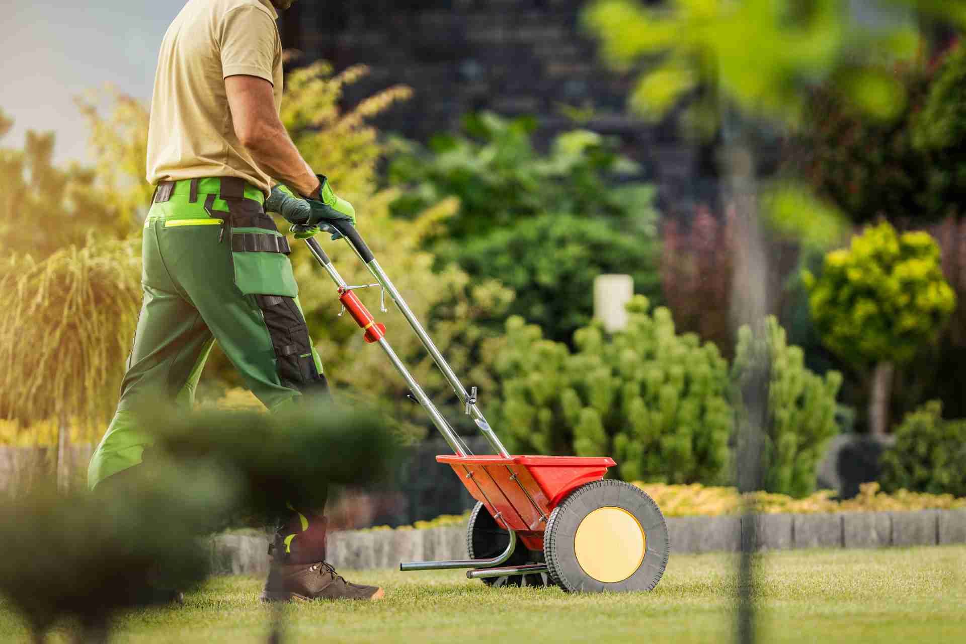 Fertilization Services in Allen TX