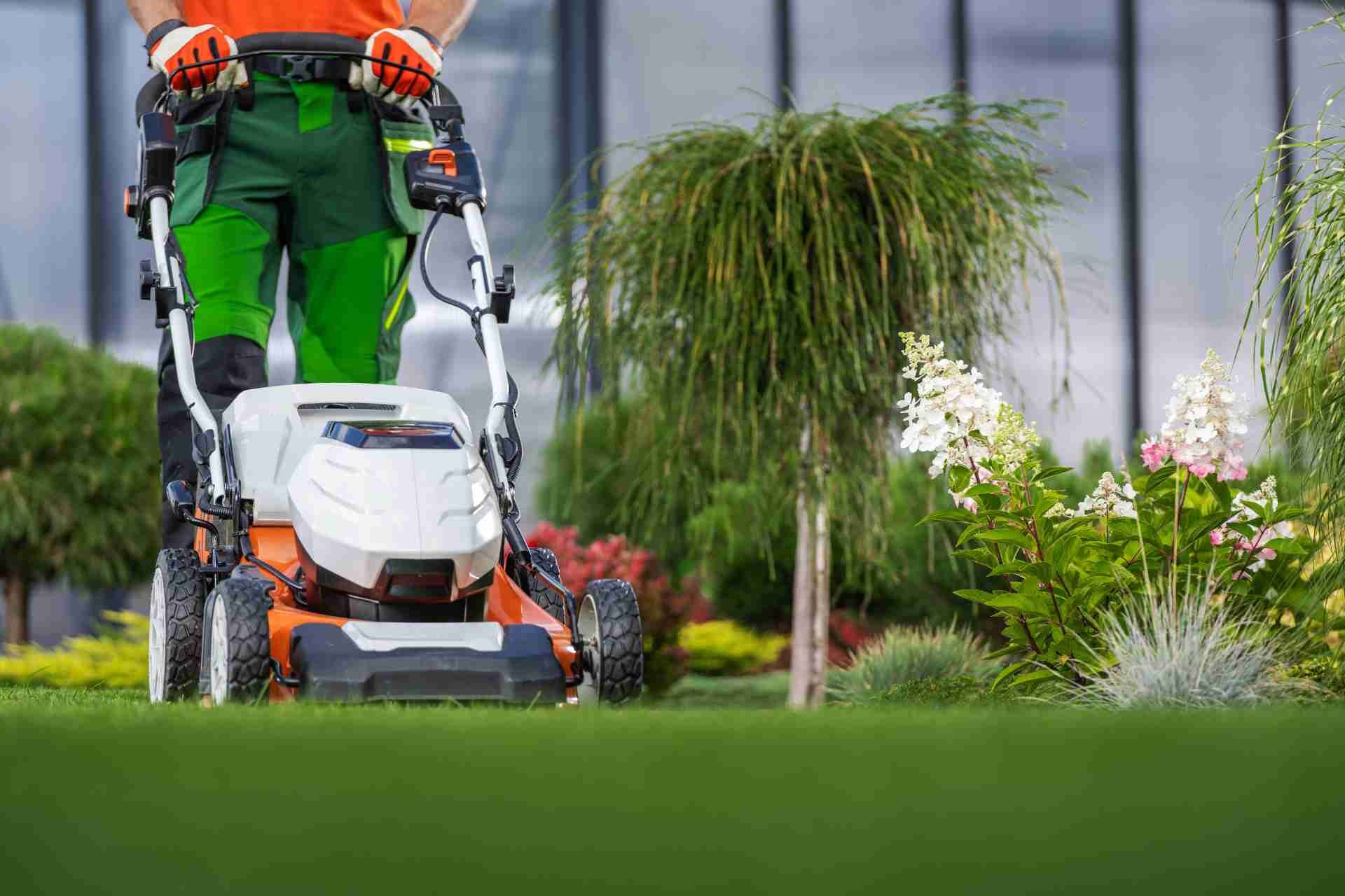 Lawn Mowing Services in McKinney TX