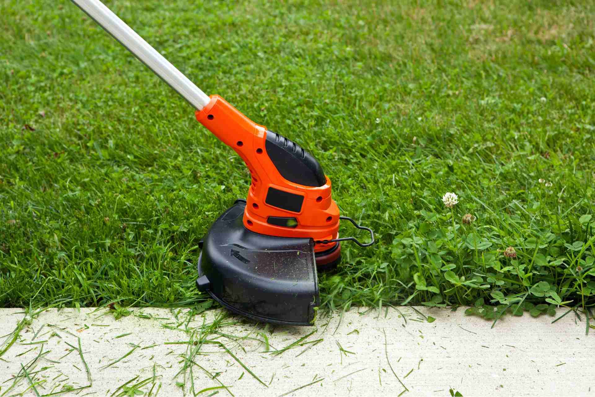Weed Control Services in Plano TX