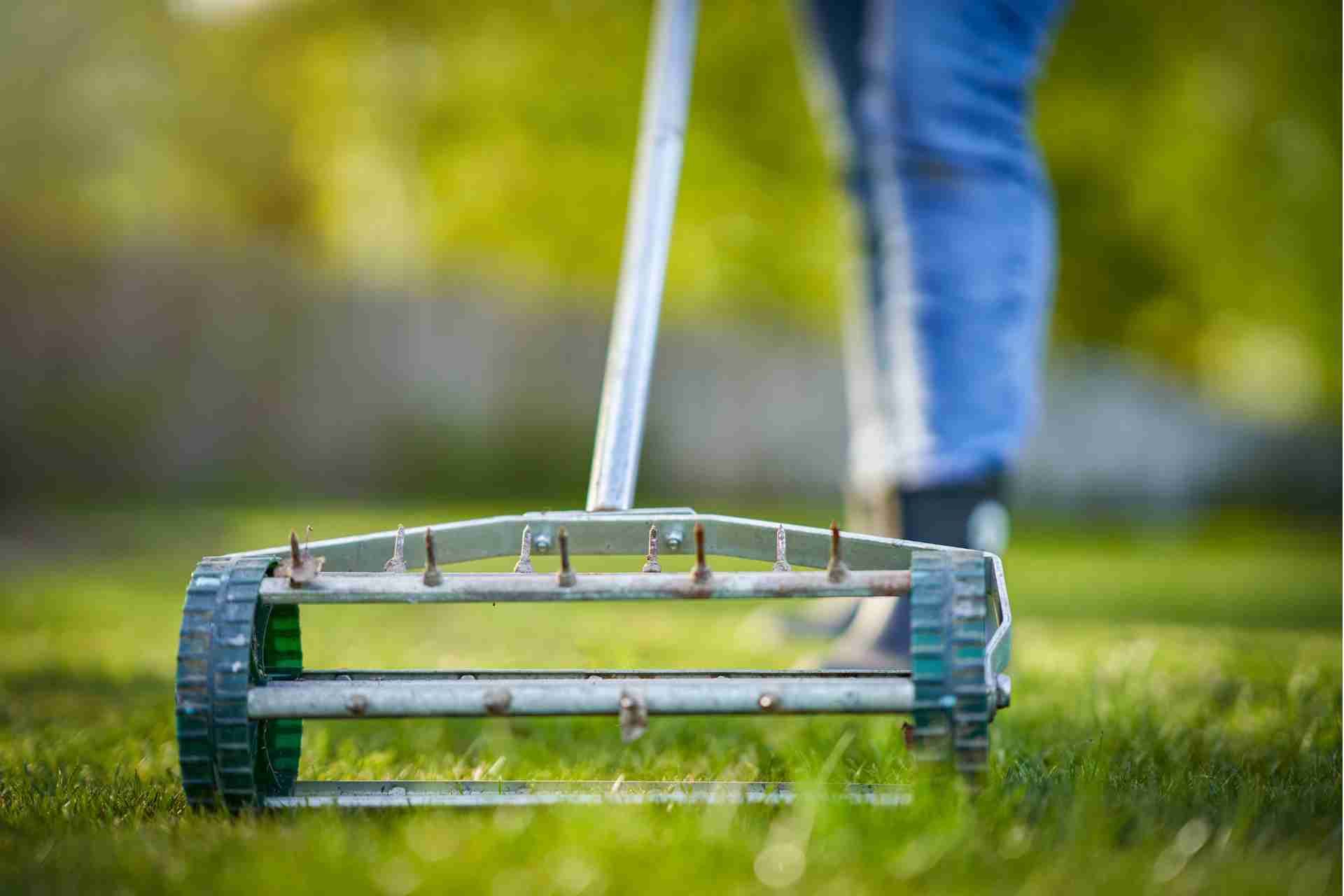 aerating your lawn