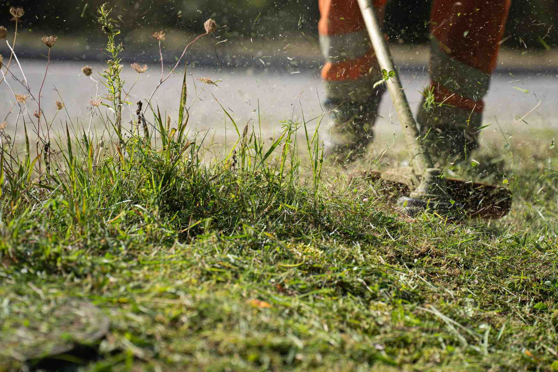 how to prevent crabgrass