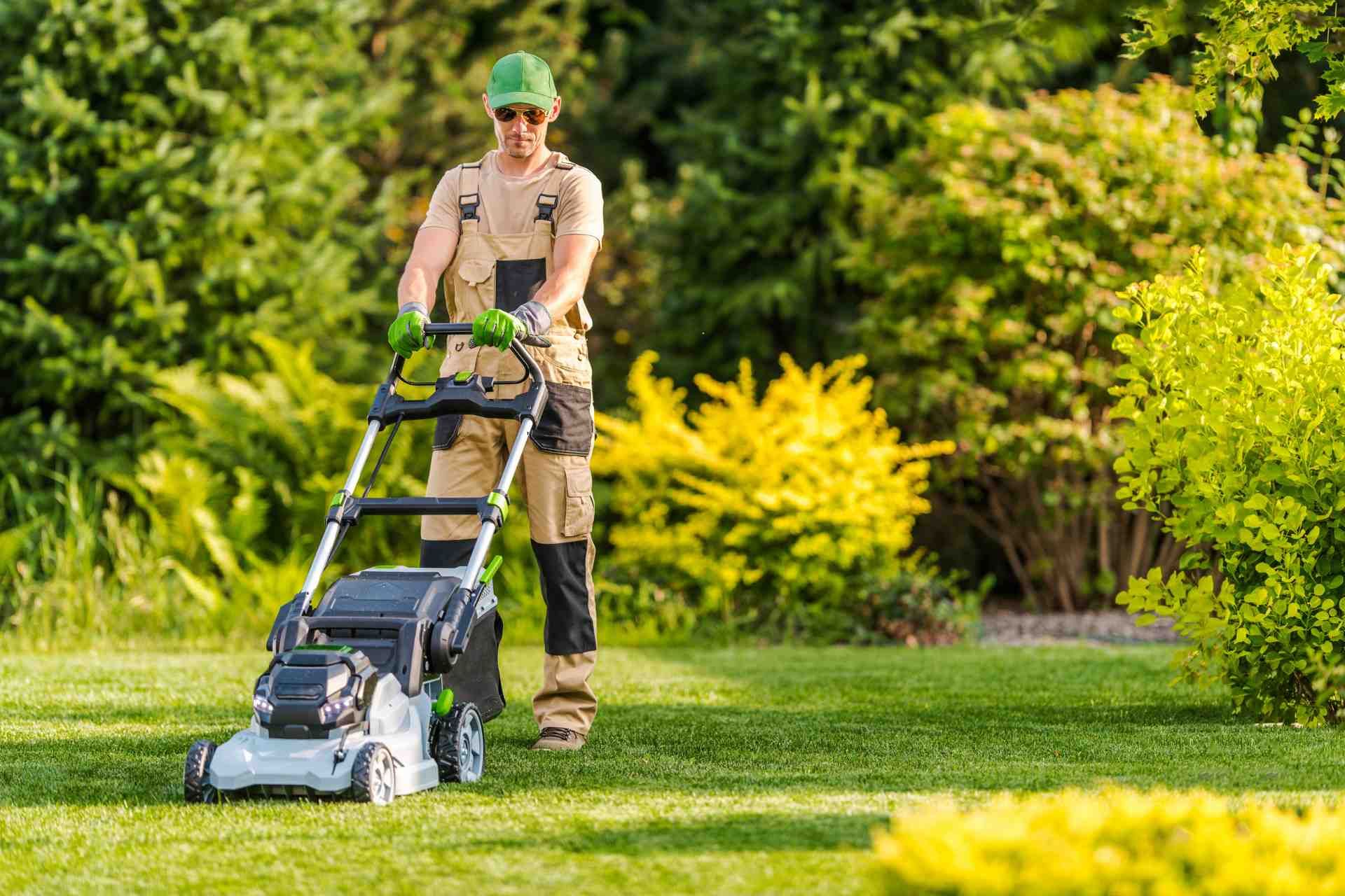 is a local lawn care company better than a franchise