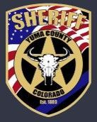 A sheriff 's badge with an american flag and a bull skull.