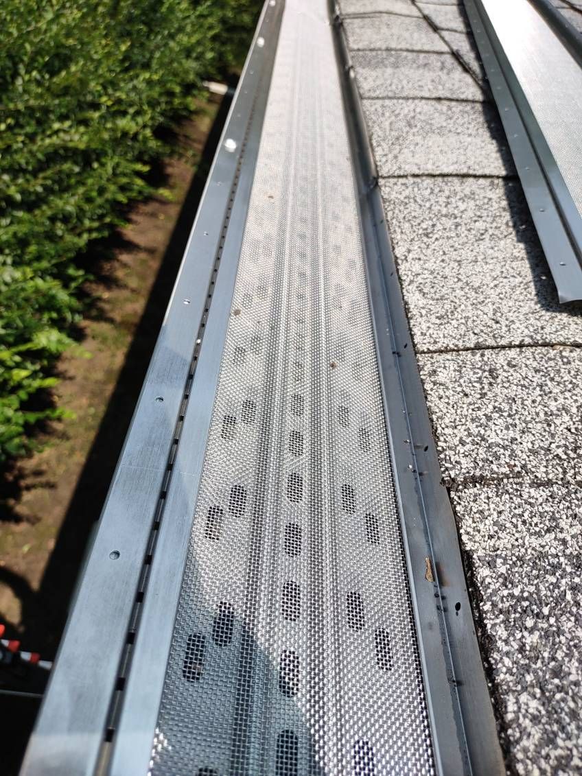 Metal roof gutter with leaf guard beside gravel shingles and green foliage below