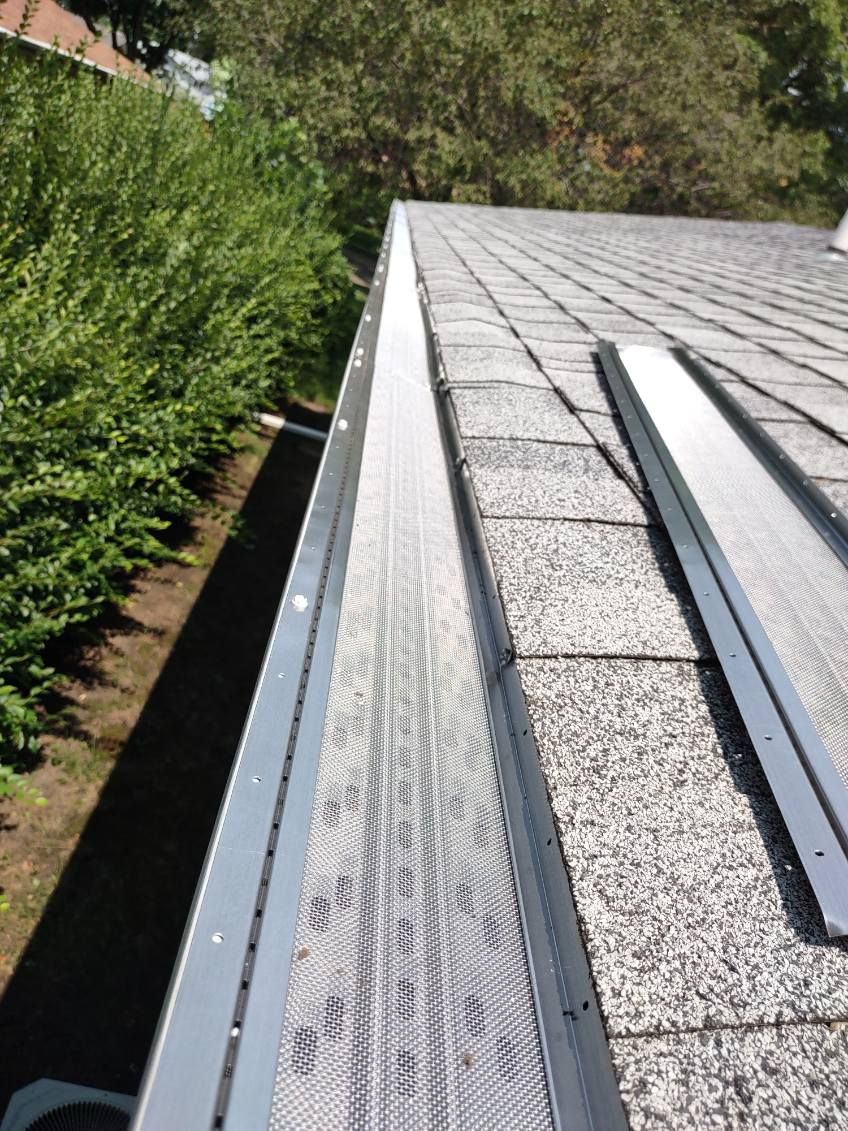 Roof gutter and shingles beside leafy trees, viewed from the roof edge.
