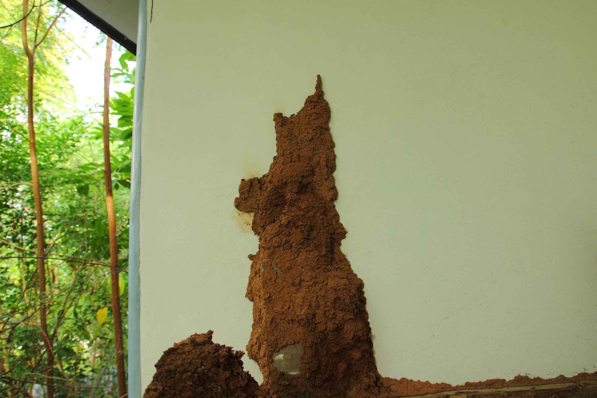 A white wall with a large pile of dirt on it