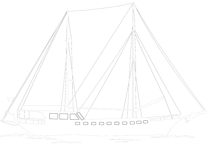 Icon Schiff
