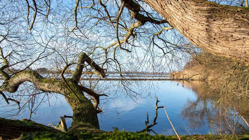 Wandern an der Elbe im Naturpark „Hohes Elbufer“ Wandern an der Elbe im Naturpark „Hohes Elbufer“