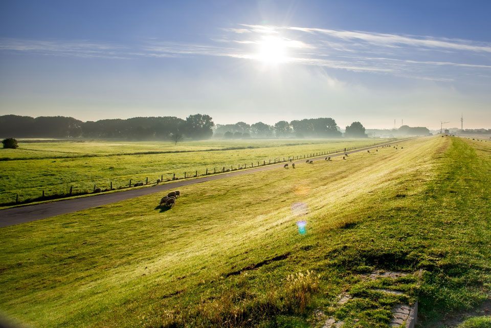 Wandern an der Elbe entlang des Deiches Wandern an der Elbe entlang des Deiches
