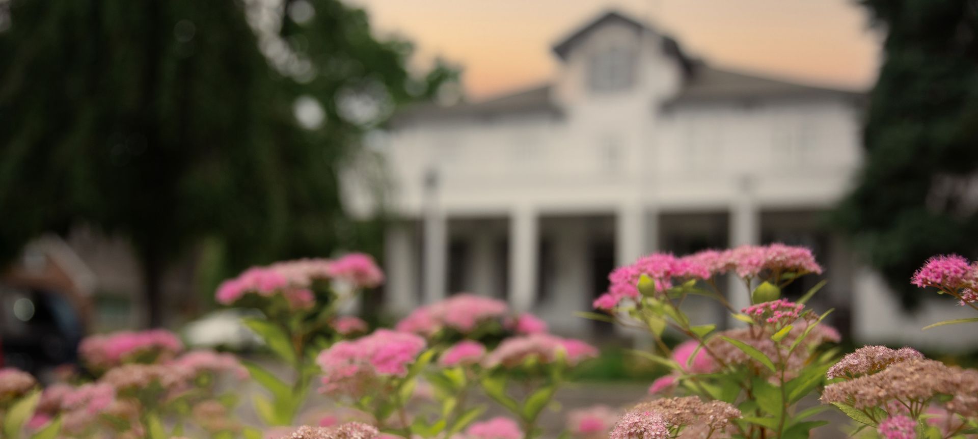 Pre-Planning Brampton | Ward Funeral Homes