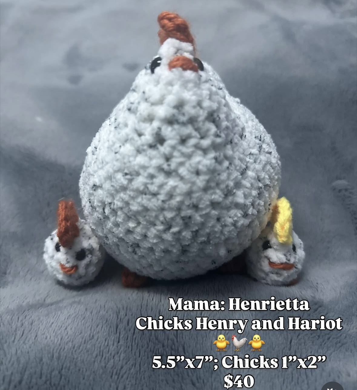 Mama Chicken with Babies in pouch