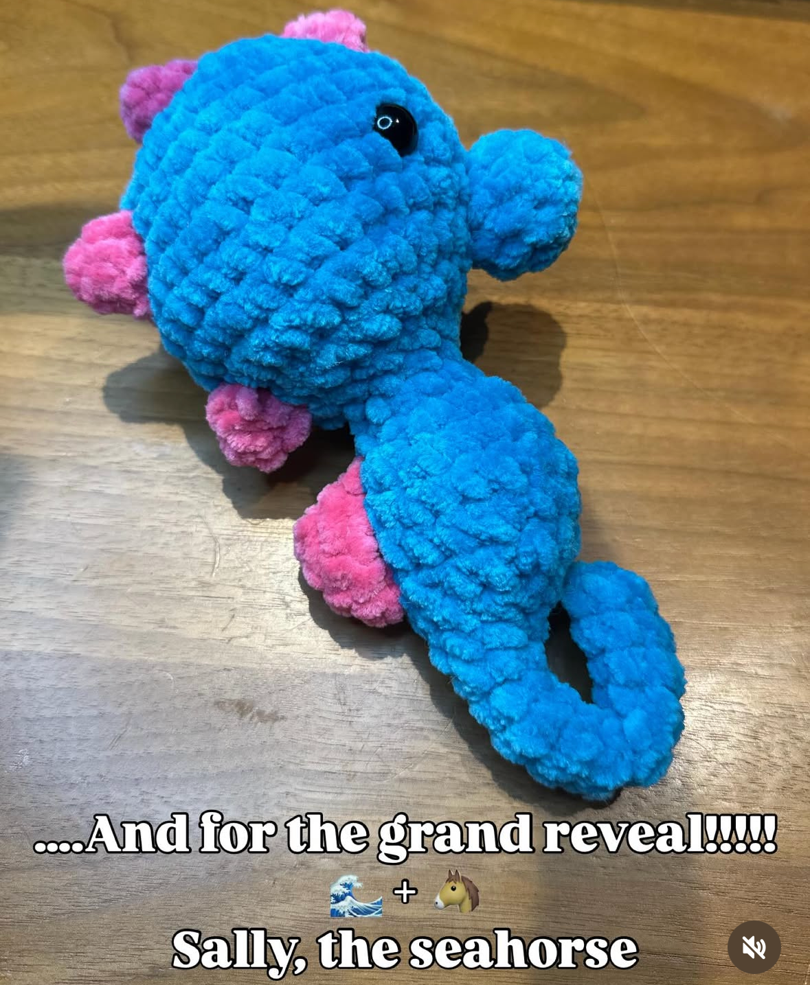 Sally the Seahorse