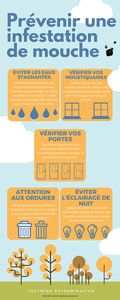 Infographie sur la prévention des infestations de mouches. Comprend du texte et des illustrations de fenêtres, de portes, de poubelles et d'ampoules.