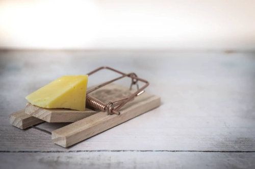 Piège à souris avec un morceau de fromage jaune sur une surface en bois blanc.
