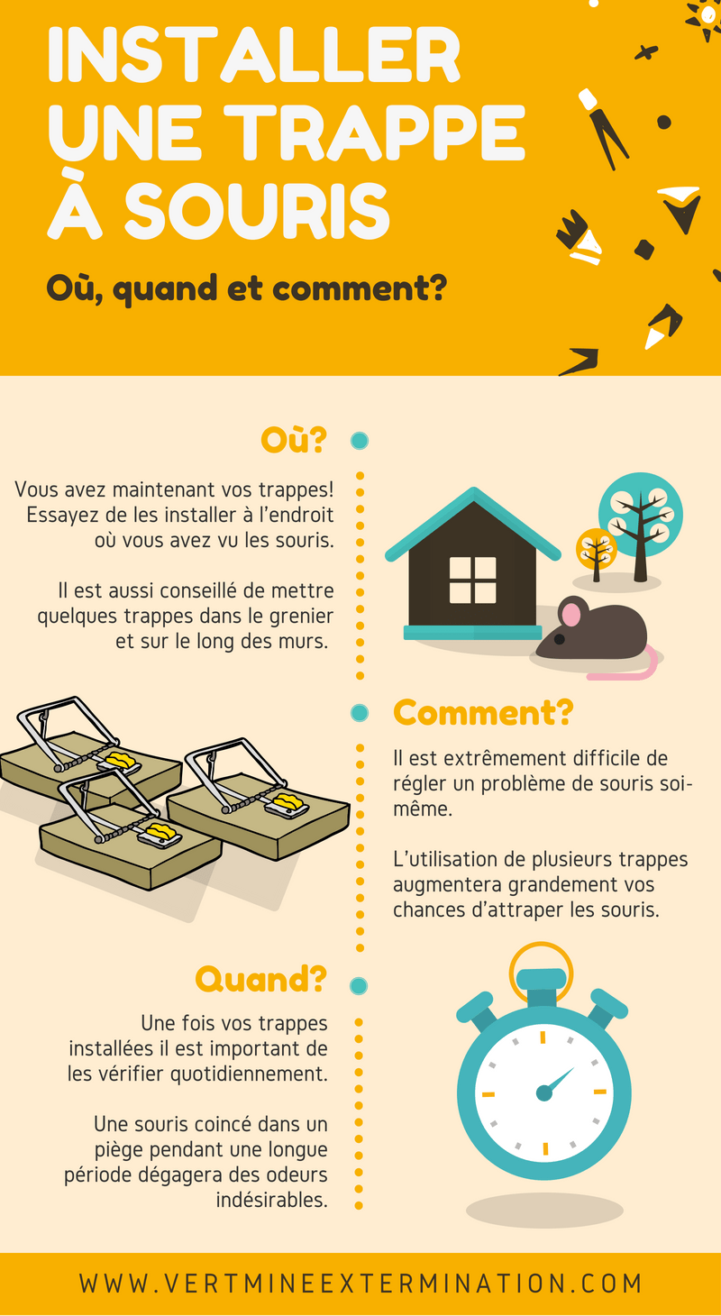 Infographie jaune sur les pièges à souris : emplacement, moment et mode d’emploi. Comprend une image de piège à souris, une maison et une horloge.