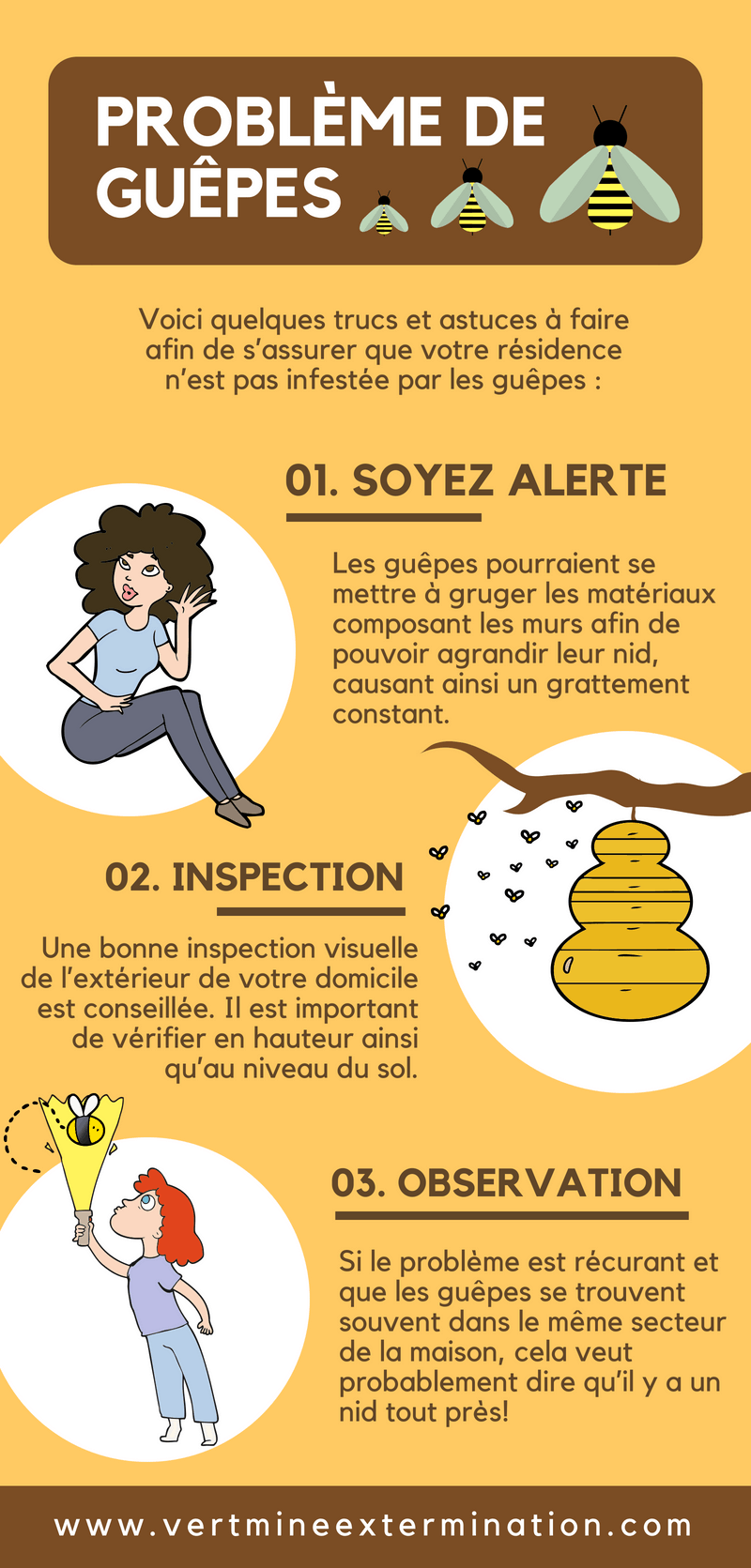 Infographie sur les guêpes, avec des illustrations de personnes inspectant les nids. Couleurs : brun et jaune.