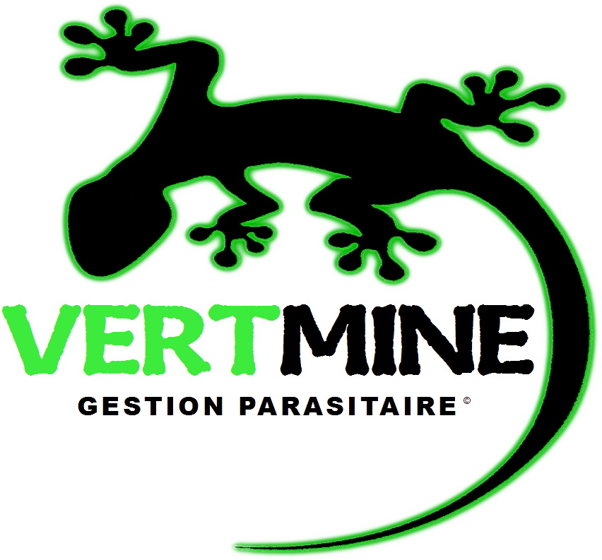 Logo pour la société de lutte antiparasitaire Vertmine, représentant un gecko vert et noir et accompagné de texte.