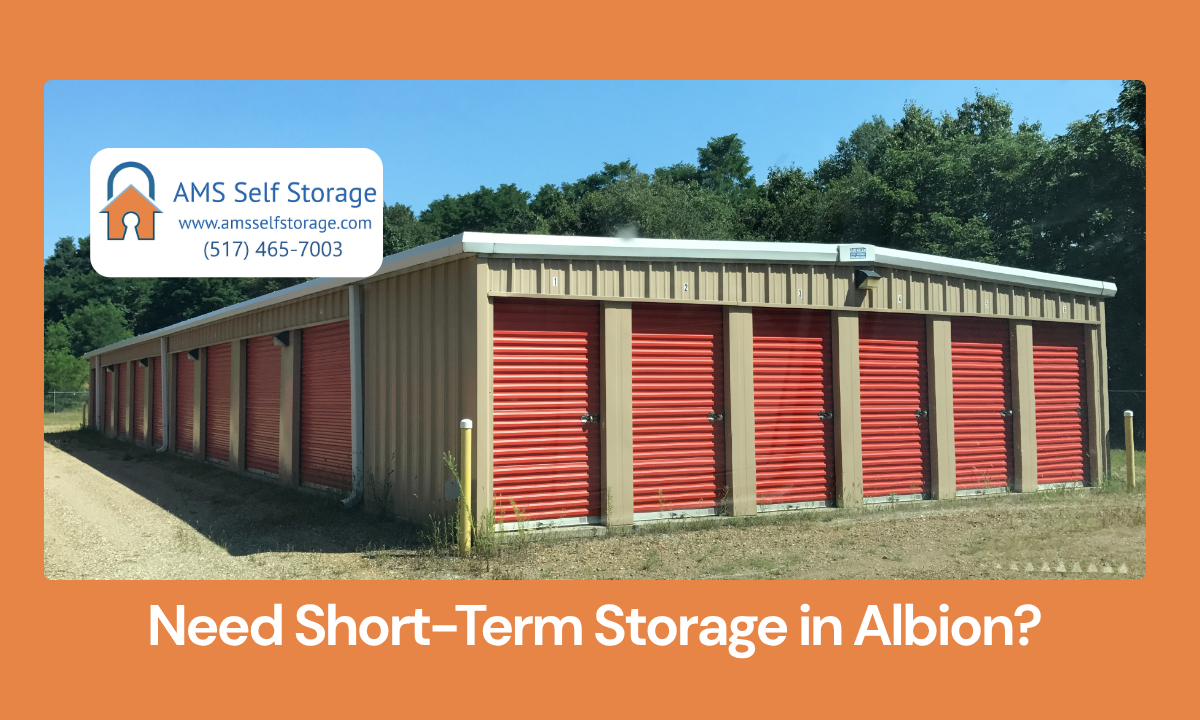 Row of  storage units with green roof in sunny field, captioned “Need Short-Term Storage in Albion?”