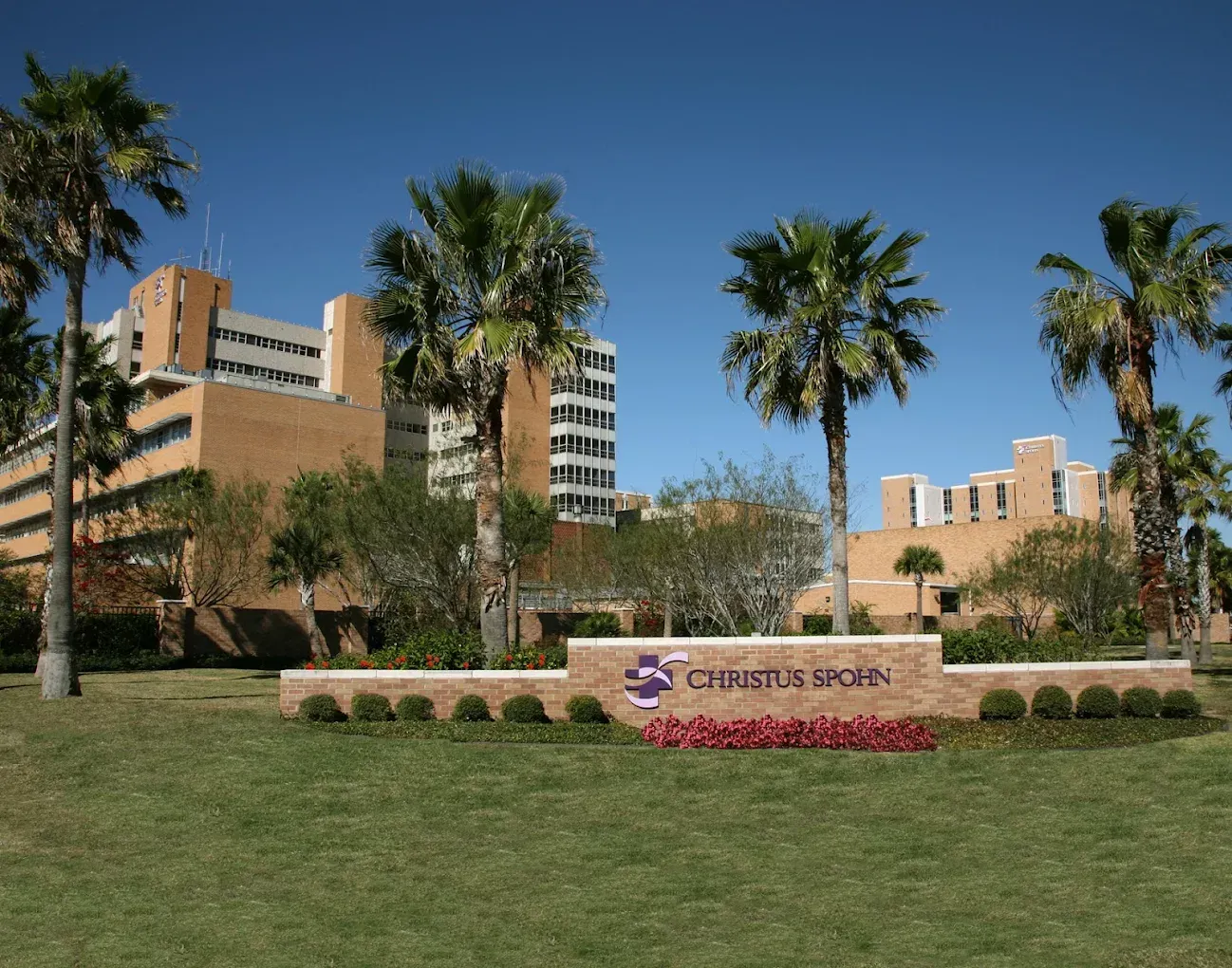 Palm-lined resort entrance with a beige hotel building and a Crossroads sign on a green lawn.