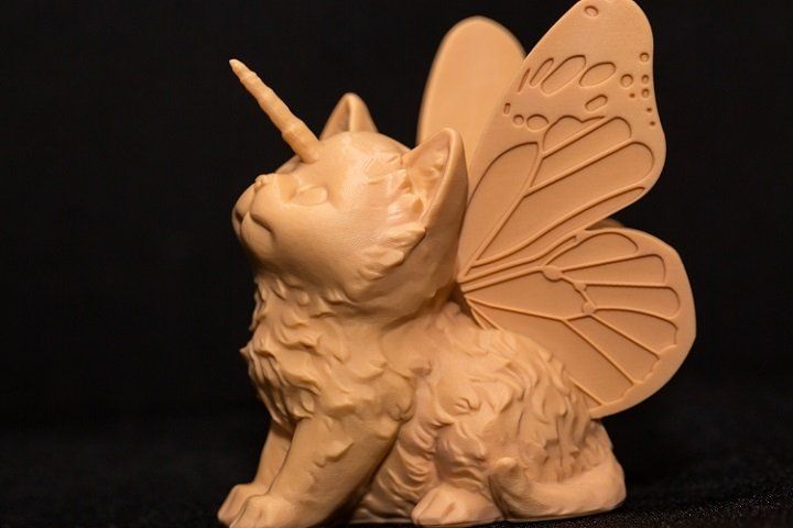 ivory color cat looking upwards
