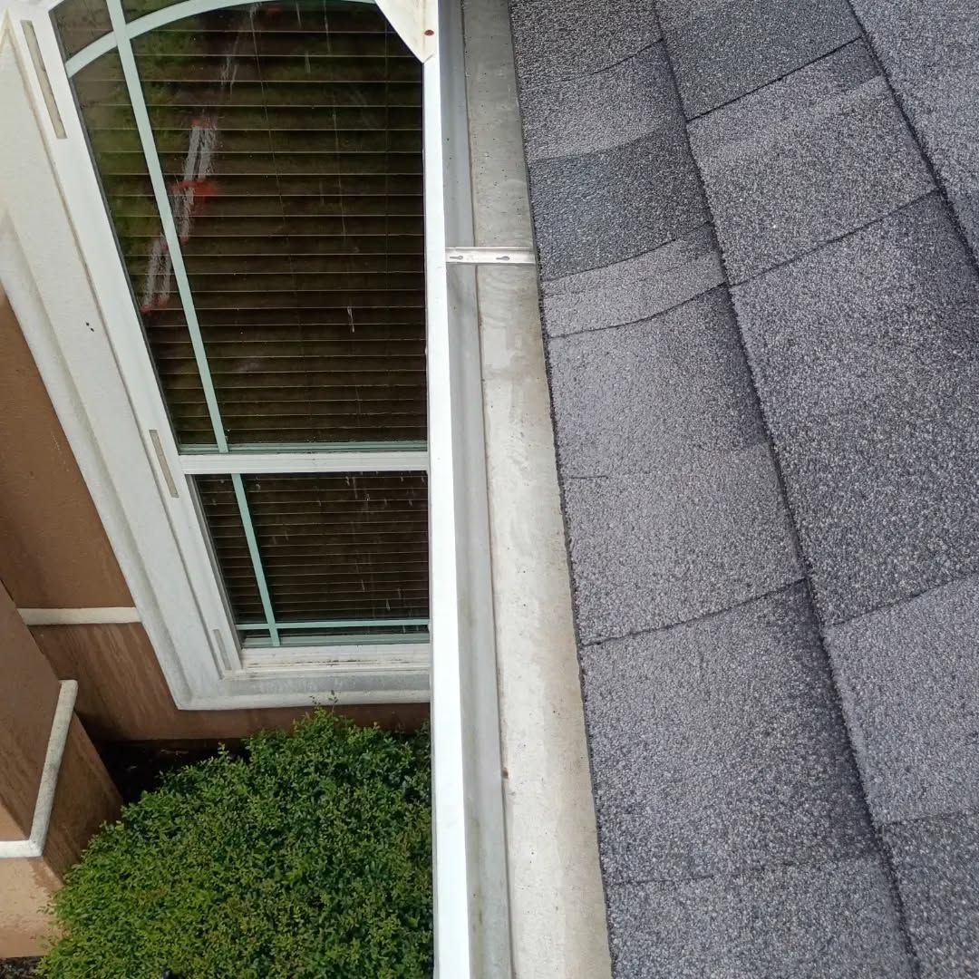 Window beside gray shingled roof with white gutter and green shrub below