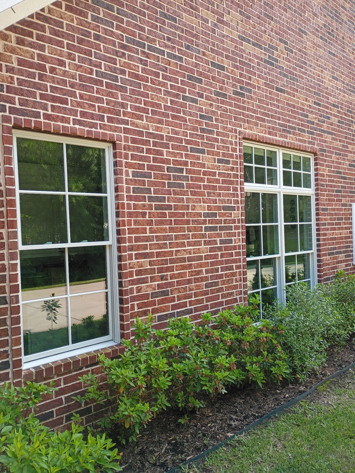 Red brick building wall with white-framed windows and shrubs along the base.