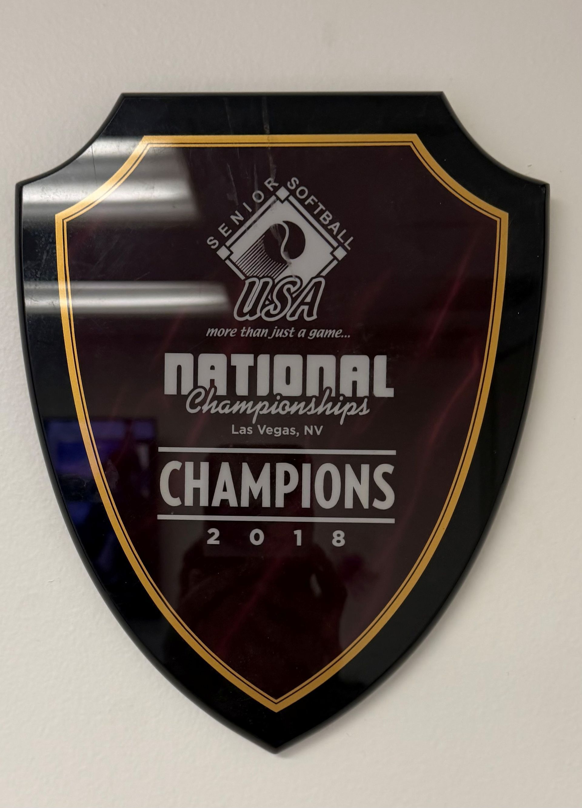 Black shield plaque with gold trim reading “National Championships 2018” on a wall