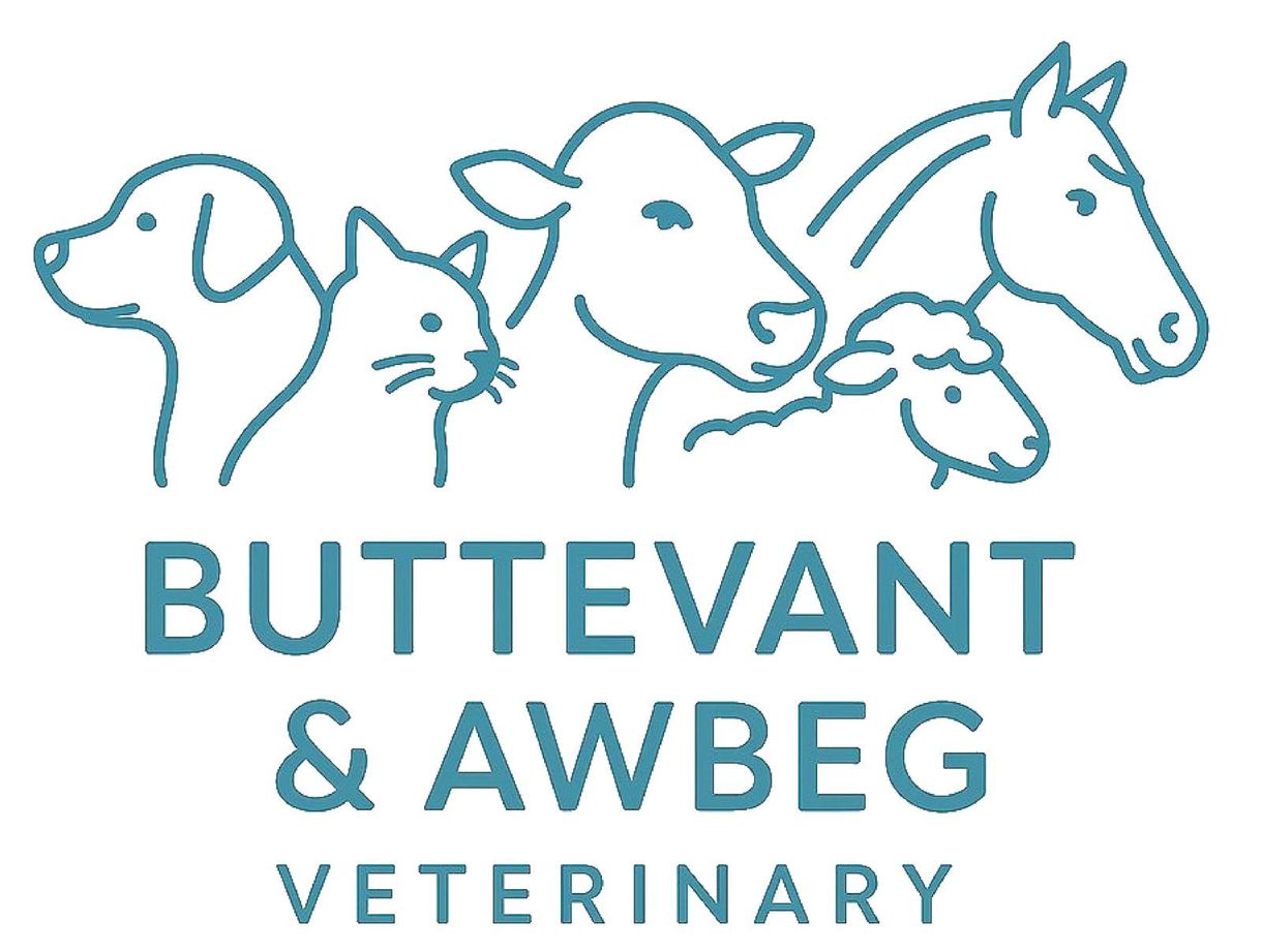 Buttevant & Awbeg Veterinary logo with teal line drawings of dog, cat, cow, pig, horse and sheep