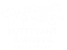 Faint logo of cats and dogs above the text “BILLIVANT & RAMBLYN VETERINARY”