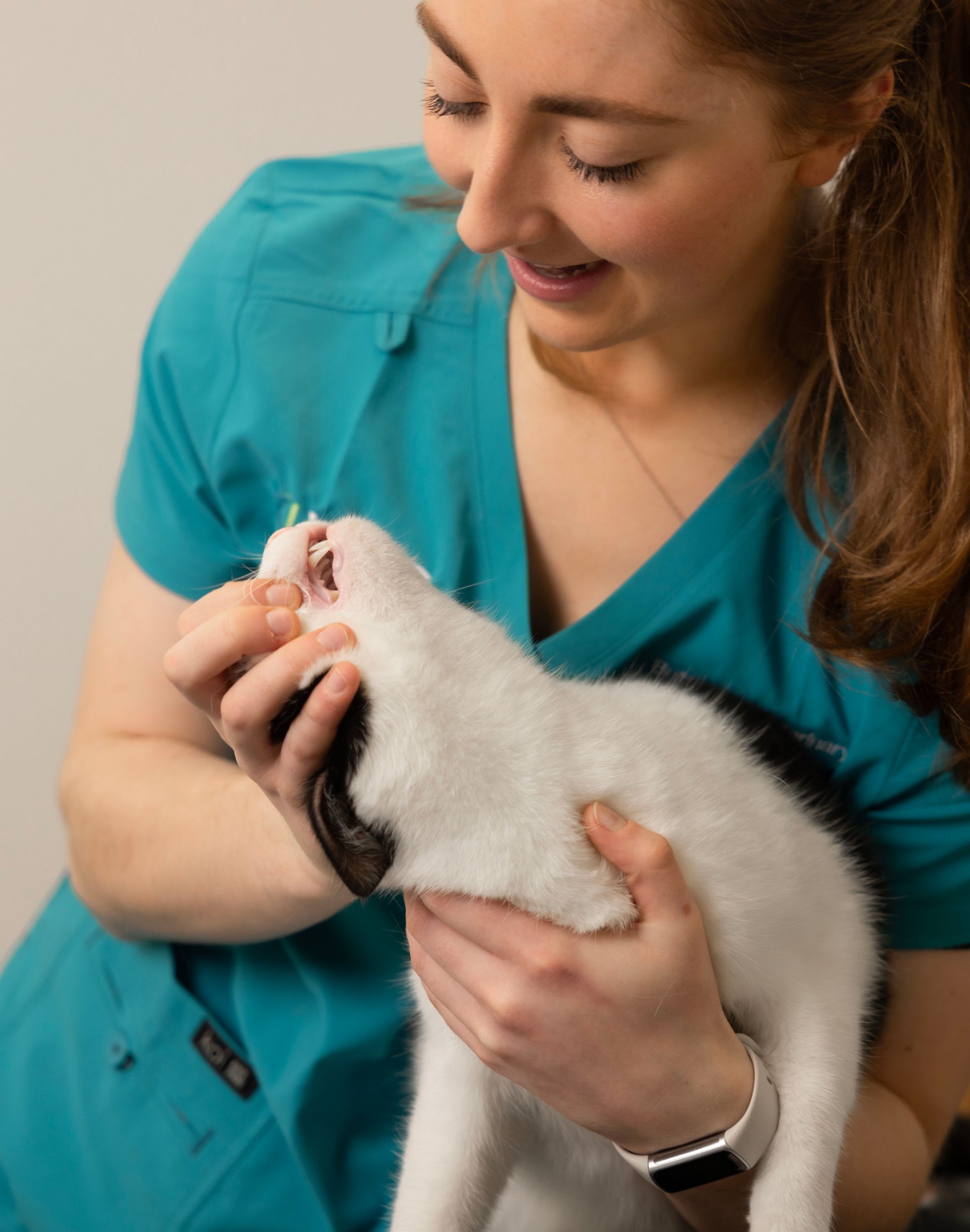 Veterinarian in teal scrubs gently holding a white and black kitten