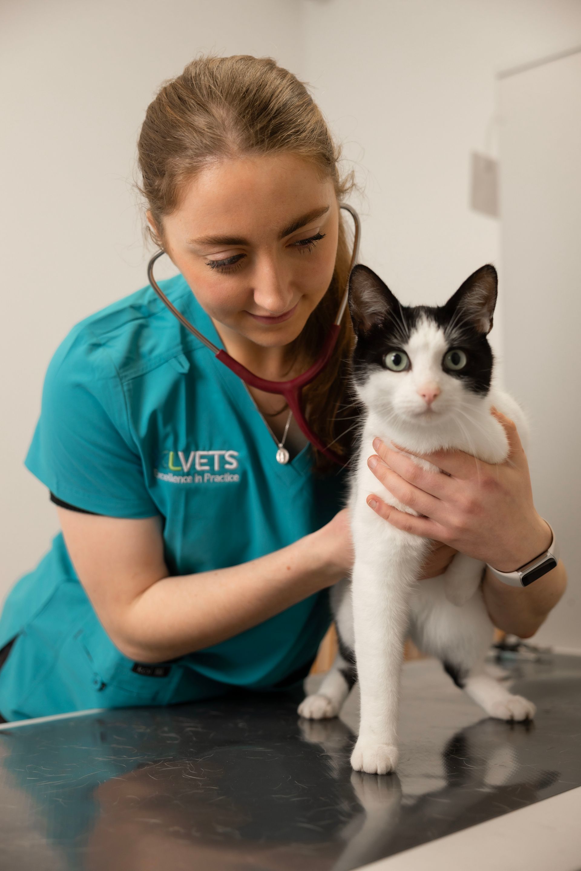 Veterinarian in teal scrubs examining a black-and-white cat on a metal table