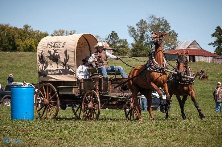 Chuckwagon Races at Lazy P Arena