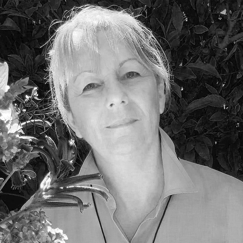 Image of Debbie Anderson