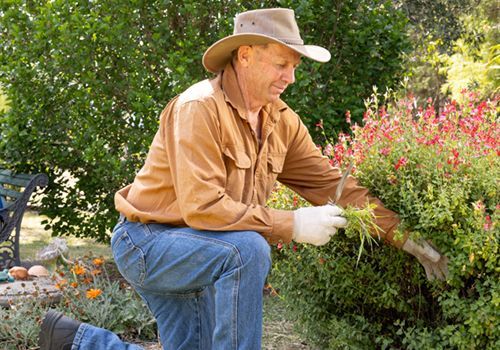 K-Life employee tending to a garden