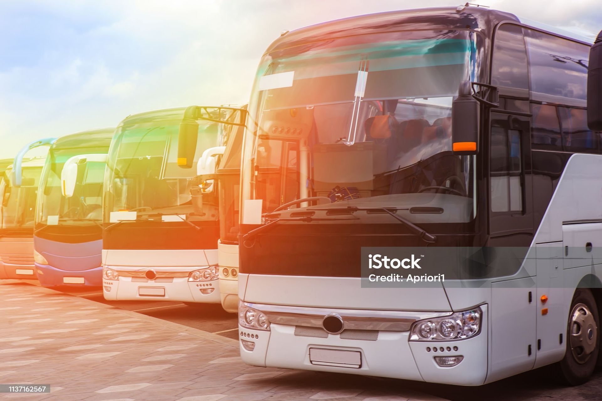 Foto com onibus estacionados lado a lado