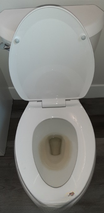 A close up of a toilet with the lid up in a bathroom.