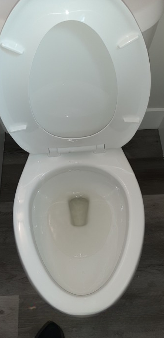 A white toilet with the lid open is sitting on a wooden floor.