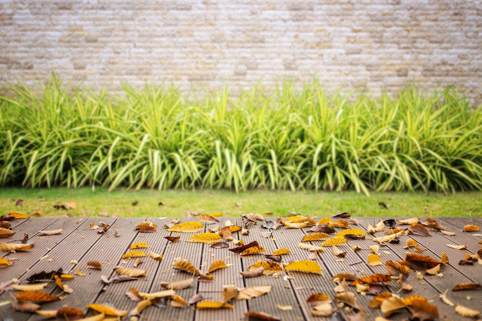 Rainy patio with wet wooden decking, scattered fallen leaves, green shrubs, and a brick wall backdrop