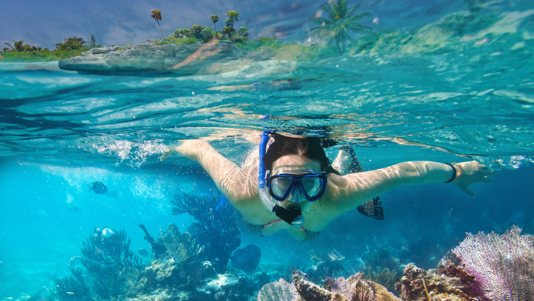 Snorkeling in turquoise clear water well equipped gear 