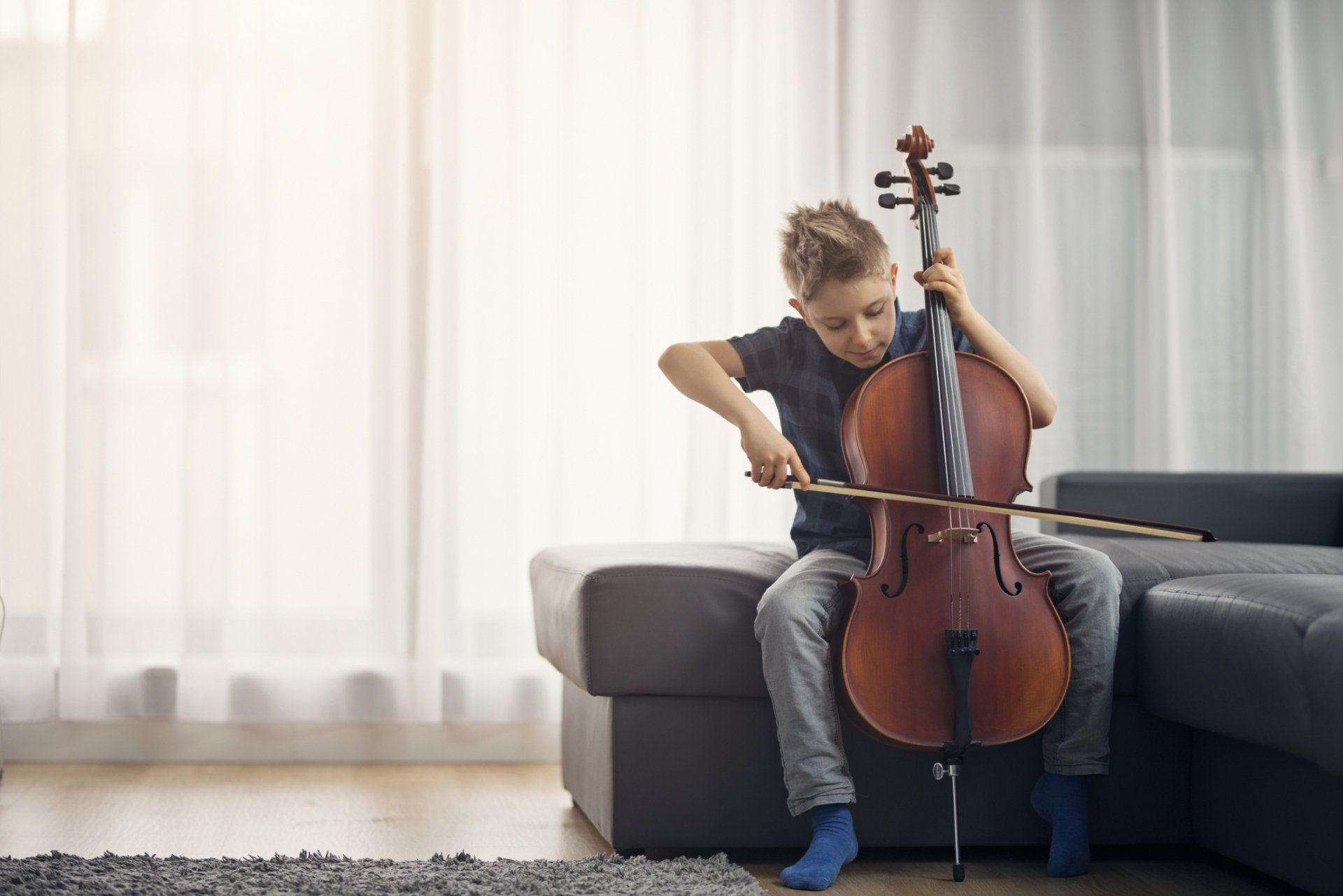 violoncello