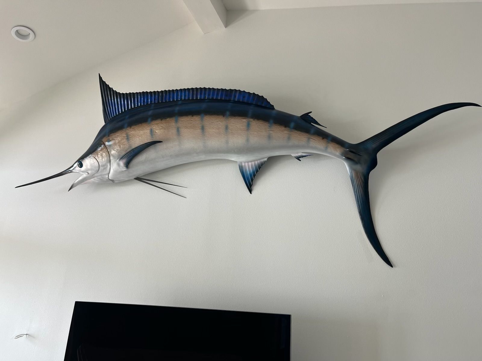 A mounted marlin fish on a white wall, with blue, gray, and tan coloring.
