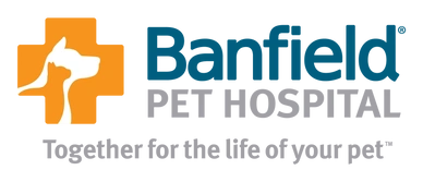 Banfield — San Diego — Raquel’s Senior Dog Bed & Breakfast Banfield — San Diego — Raquel’s Senior Dog Bed & Breakfast