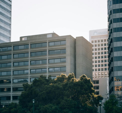 Modern office buildings behind trees on an overcast day