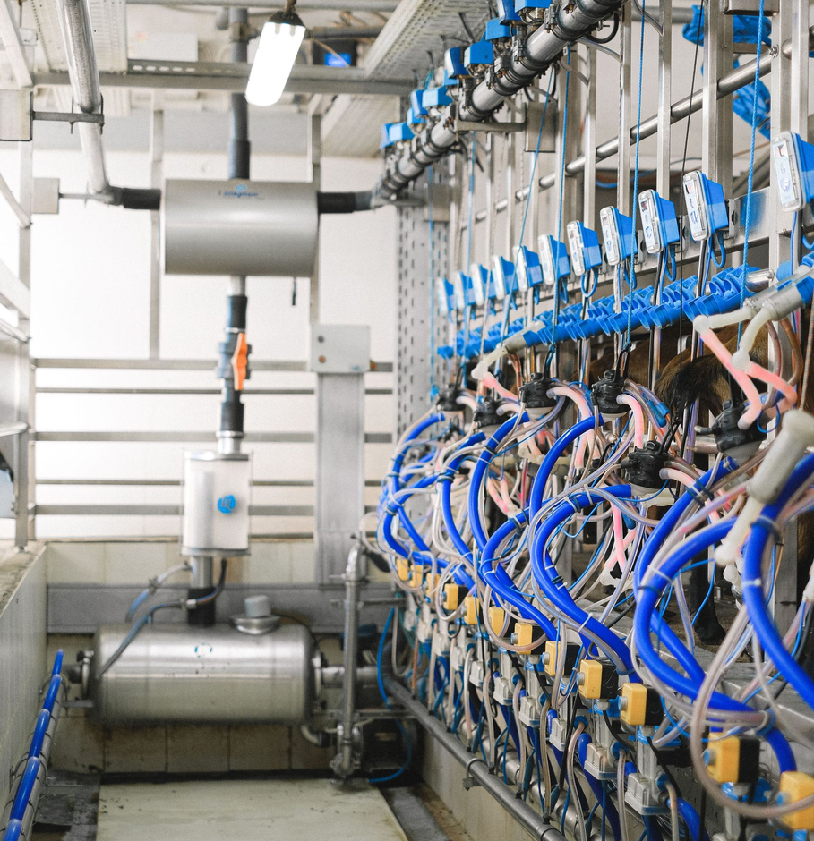 Locale tecnico industriale con serbatoi in acciaio inox e tubi flessibili blu collegati a un sistema a parete.