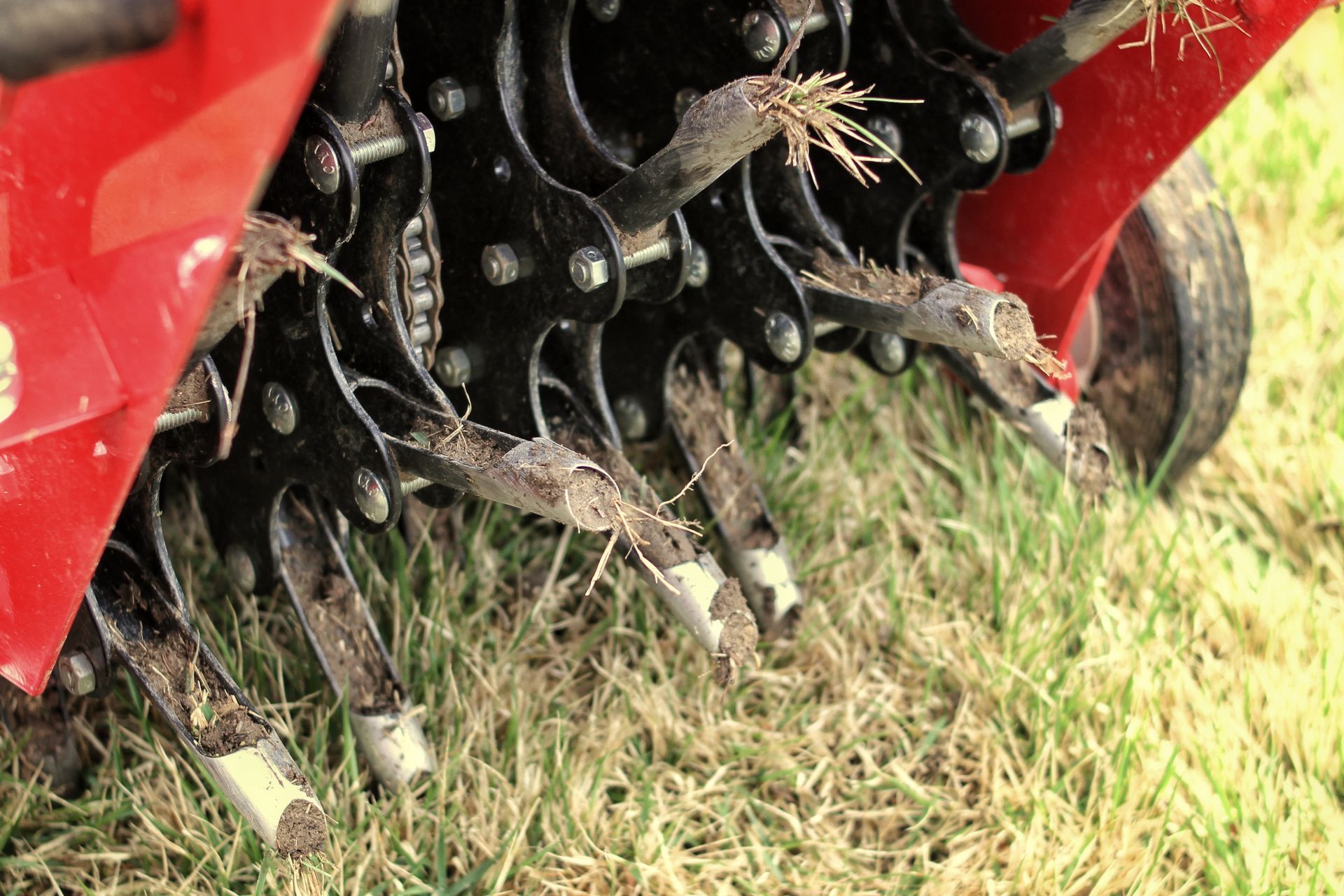 Aerating a lawn