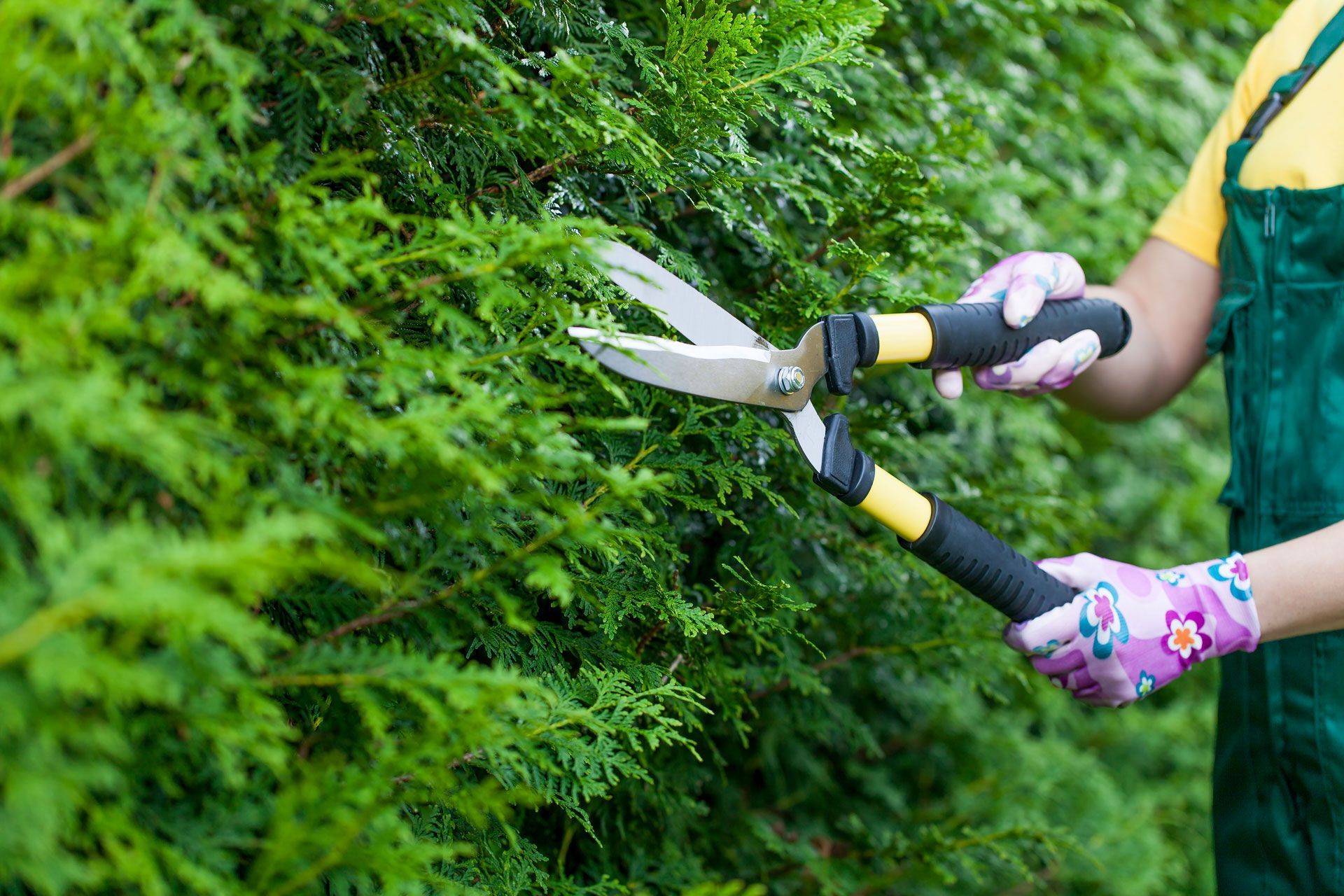 Trimming