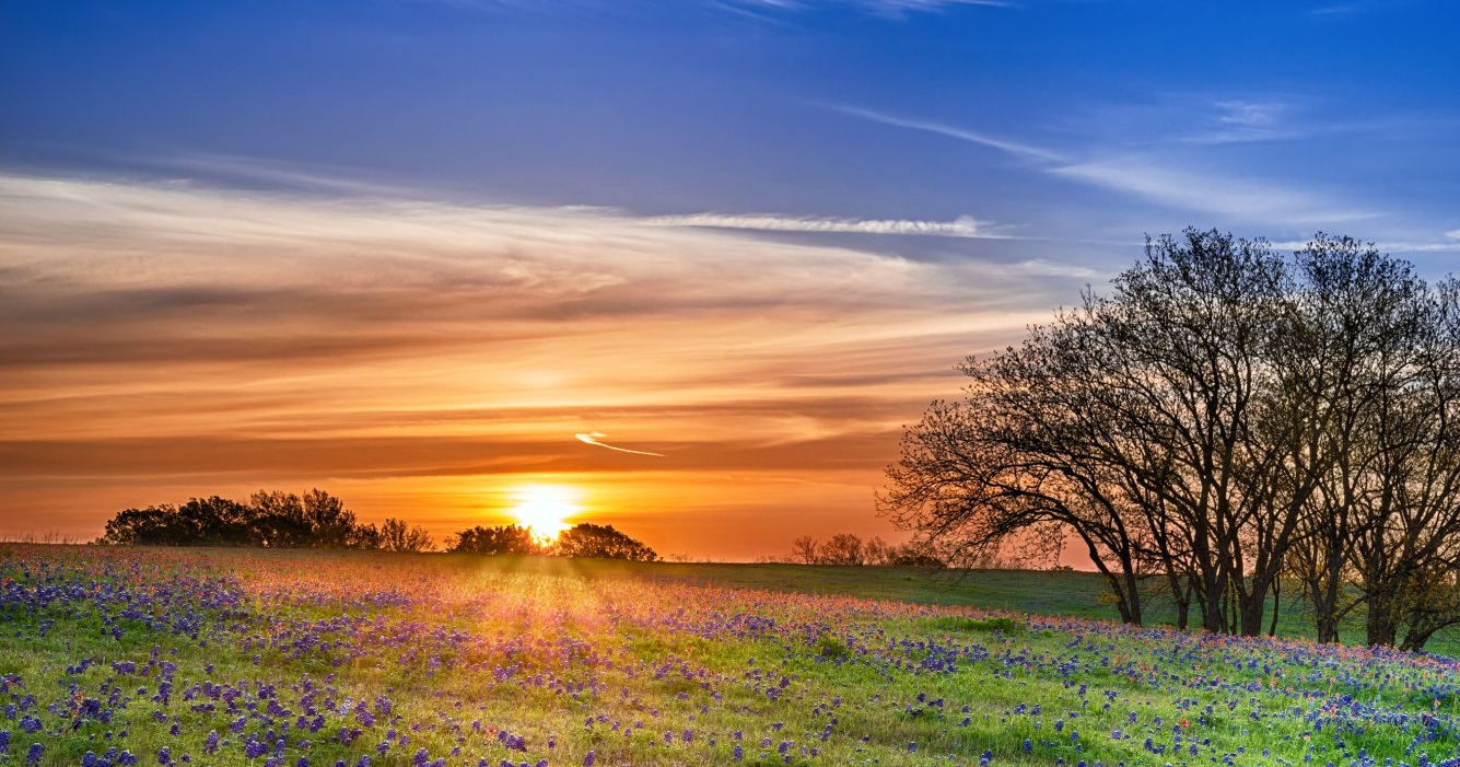 What to do when death occurs funeral services
