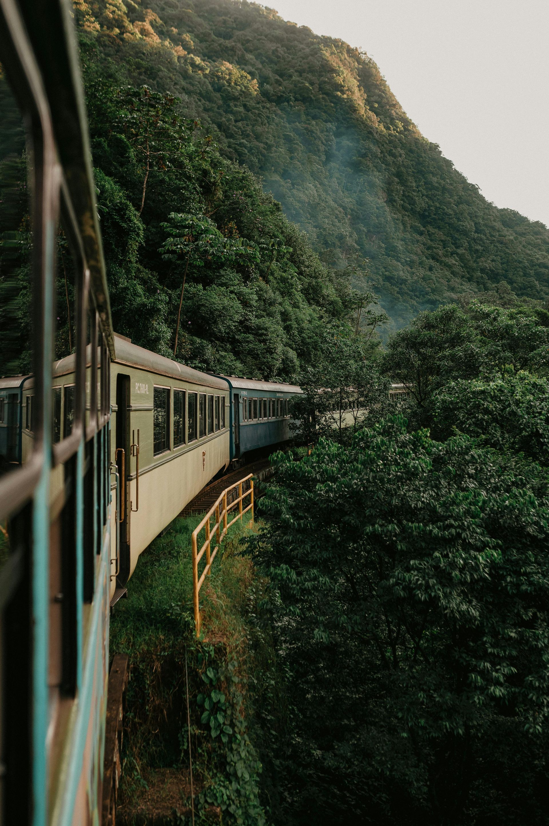 A train is going down a hill surrounded by trees.